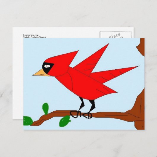 Carte Postale Dessin cardinal (Devant / Derrière)