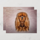 Carte Postale Dessin Chien Cavalier King Charles Spaniel (Devant / Derrière)