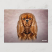 Carte Postale Dessin Chien Cavalier King Charles Spaniel (Dos)