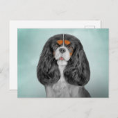 Carte Postale Dessin Chien Cavalier King Charles Spaniel (Devant / Derrière)