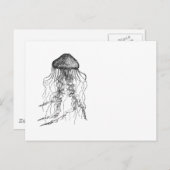 Carte Postale Dessin crayon noir et blanc de méduse (Devant / Derrière)