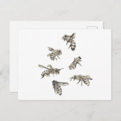 Carte Postale Dessin d'abeilles (Devant / Derrière)