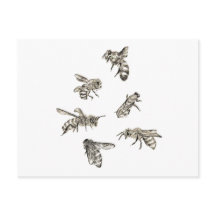 Dessin d'abeilles