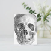 Carte Postale Dessin d'anatomie du crâne humain (Debout devant)