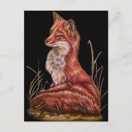 Carte Postale Dessin d'art animal Red Fox (Devant)