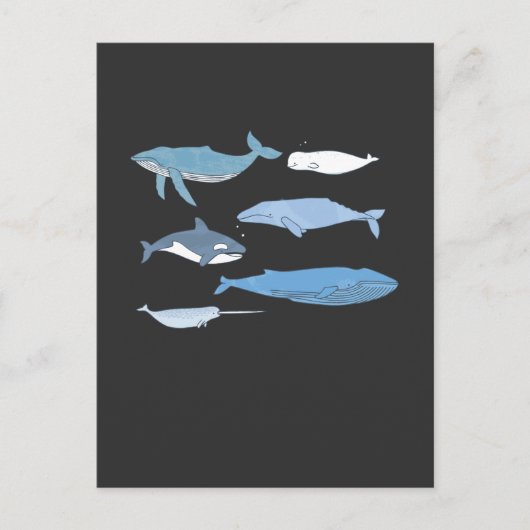 Carte Postale Dessin de baleines mignonnes Éducation des animaux (Devant)