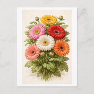 Carte Postale Dessin de bouquet de marguerites Gerber de style v