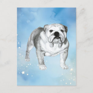 Carte Postale dessin de Bulldog anglais