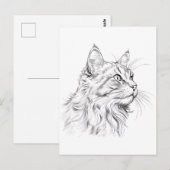 Carte Postale Dessin de chat (Devant / Derrière)