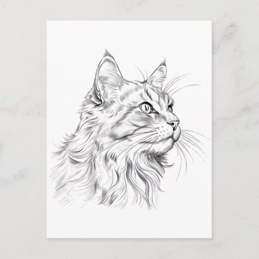 Carte Postale Dessin de chat (Devant)