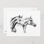 Carte Postale Dessin de cheval croquis artisanal (Devant / Derrière)