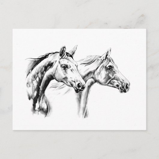 Carte Postale Dessin de cheval croquis artisanal (Devant)
