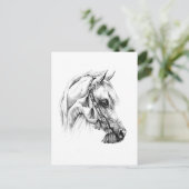 Carte Postale Dessin de cheval croquis artisanal (Debout devant)