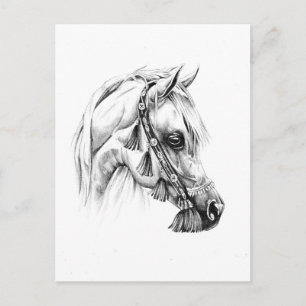 Carte Postale Dessin de cheval croquis artisanal