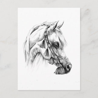 Carte Postale Dessin de cheval croquis artisanal