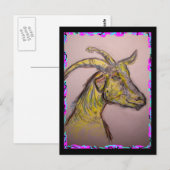 Carte Postale dessin de chèvre (Devant / Derrière)