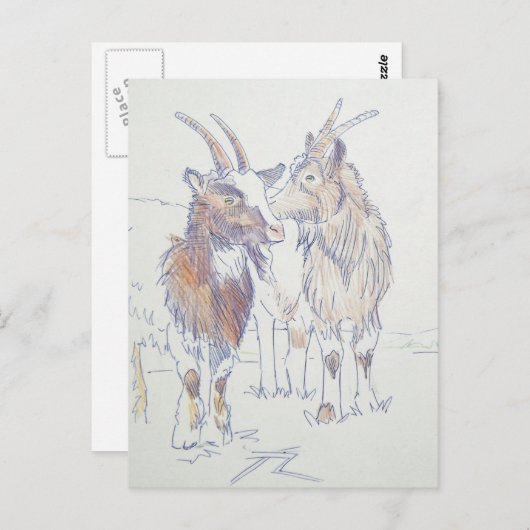 Carte Postale Dessin de chèvre - Les frères (Devant / Derrière)