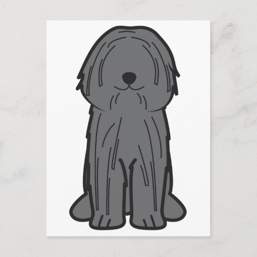 Carte Postale Dessin de chien Puli (Devant)