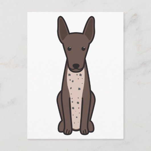 Carte Postale Dessin de Chien Xoloitzcuintli (Devant)
