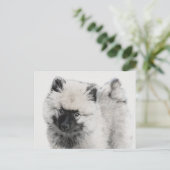 Carte Postale Dessin de chiot Keeshond - Art original de chien m (Debout devant)