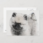 Carte Postale Dessin de chiot Keeshond - Art original de chien m (Devant / Derrière)
