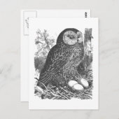 Carte Postale Dessin de chouette à broyage rétro (Devant / Derrière)