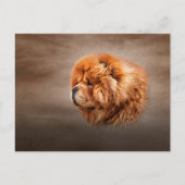Carte Postale Dessin de chow chow chow (Devant)