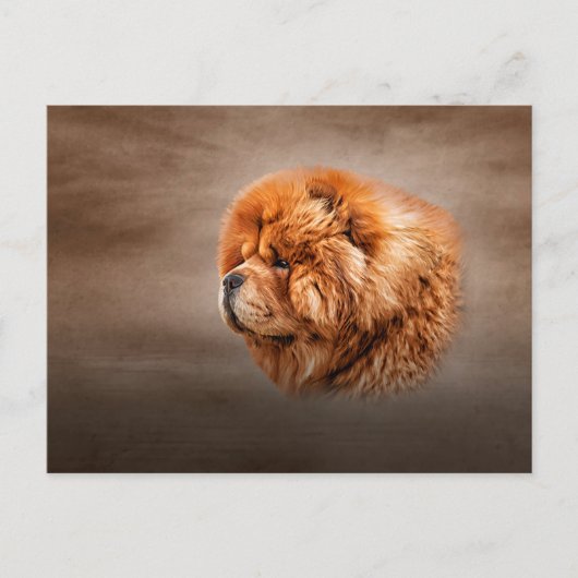 Carte Postale Dessin de chow chow chow (Devant)