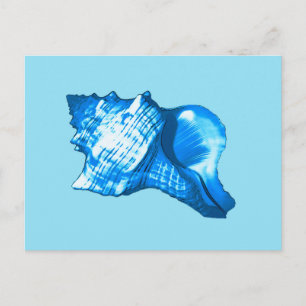 Carte Postale Dessin de coquille de conque - bleu cobalt et bleu