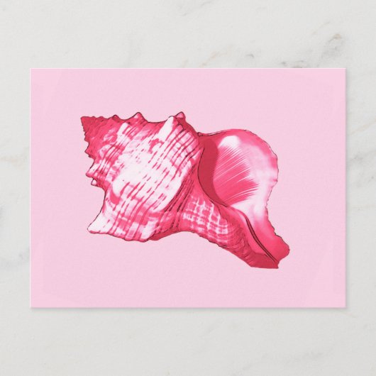Carte Postale Dessin de coquille de conque - rose fuchsia et bla (Devant)
