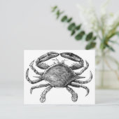 Carte Postale Dessin de crabe vintage (Debout devant)