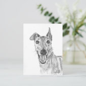 Carte Postale Dessin de fermeture Greyhound (Debout devant)