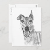 Carte Postale Dessin de fermeture Greyhound (Devant / Derrière)