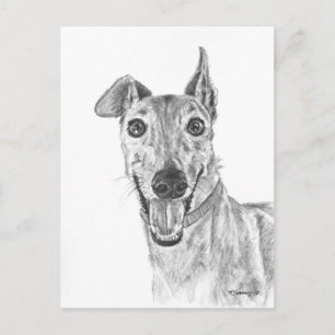 Carte Postale Dessin de fermeture Greyhound