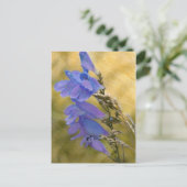 Carte Postale Dessin de média mixte Pént violet (Debout devant)