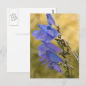 Carte Postale Dessin de média mixte Pént violet (Devant / Derrière)