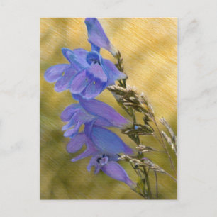 Carte Postale Dessin de média mixte Pént violet