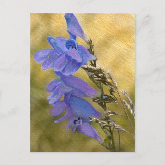 Carte Postale Dessin de média mixte Pént violet (Devant)