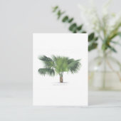 Carte Postale dessin de palme VII (Debout devant)
