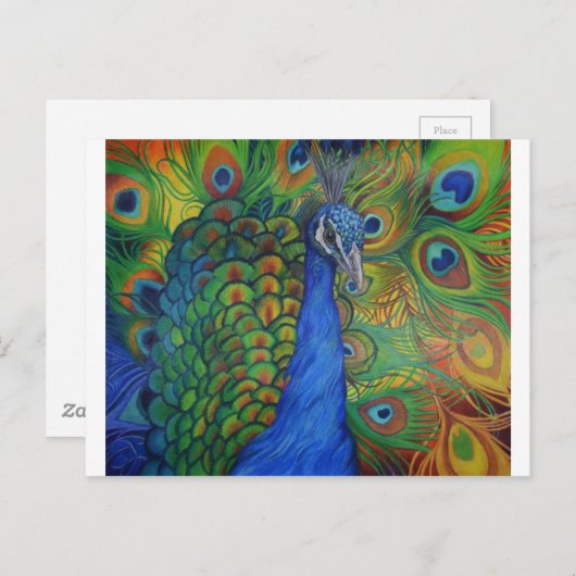 Carte Postale Dessin de paon (Devant / Derrière)