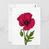 Carte Postale Dessin de pavot rouge (Devant / Derrière)