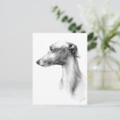 Carte Postale Dessin de portrait de chien de Greyhound Whippet i (Debout devant)