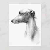 Carte Postale Dessin de portrait de chien de Greyhound Whippet i (Devant)