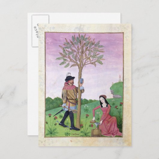 Carte Postale Dessin de sap à partir d'un arbre (Devant / Derrière)