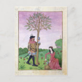 Carte Postale Dessin de sap à partir d'un arbre (Devant)