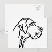 Carte Postale Dessin de tête de Grand Danois (Devant / Derrière)