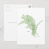 Carte Postale Dessin de thym (Devant / Derrière)