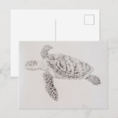Carte Postale Dessin de tortue de mer côtière (Devant / Derrière)