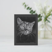 Carte Postale Dessin de visage de chat par Mark Edward Westerfie (Debout devant)