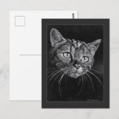Carte Postale Dessin de visage de chat par Mark Edward Westerfie (Devant / Derrière)